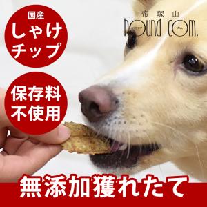 あいこな アイコナ 犬 aikona 腸活 HUGME 1袋 サプリメント : これが
