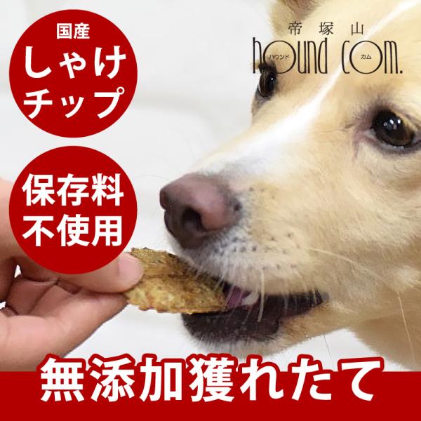 犬 猫 おやつ 安心 無添加 獲れたて しゃけチップ