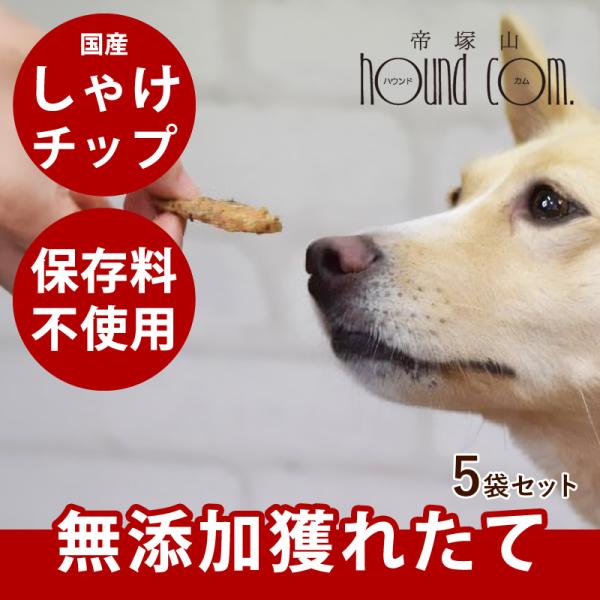 犬 猫 おやつ 安心 無添加 獲れたて しゃけチップ（ 5袋セット ）