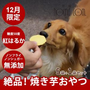 お得 セール 6月限定 犬用おやつ 愛犬用 焼き芋せんべい 5袋+1袋セット