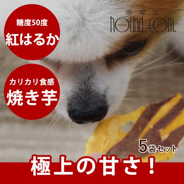 犬 おやつ無添加 安心 国産 愛犬用 カリッと焼き芋 5袋セット