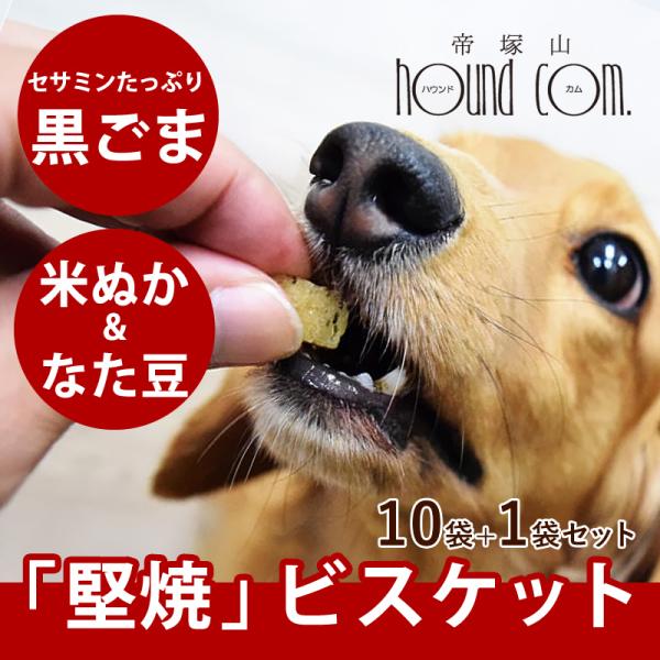 犬用おやつ　デンタル米ぬかビスケット60g 10袋+1袋