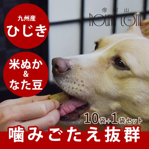 犬用おやつ デンタルひじきビスケット 10袋セット＋1袋 60g