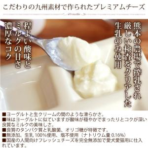 【国産生プレミアム 愛犬愛猫用フレッシュチーズ...の詳細画像1