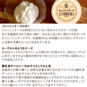 【国産生プレミアム 愛犬愛猫用フレッシュチーズ...の詳細画像3