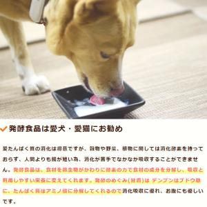 ペットのノンアルコール甘酒 発酵のめぐみ2本セ...の詳細画像2