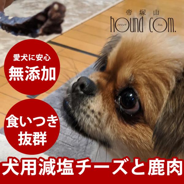 愛犬用おやつ 食べないはずない！？ 鹿チーズスティック