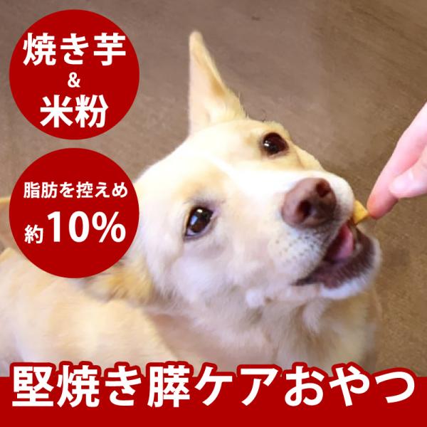 クーポン配布中 犬用 無添加 おやつ 国産 おいもの膵ケアビスケット ハード 60g