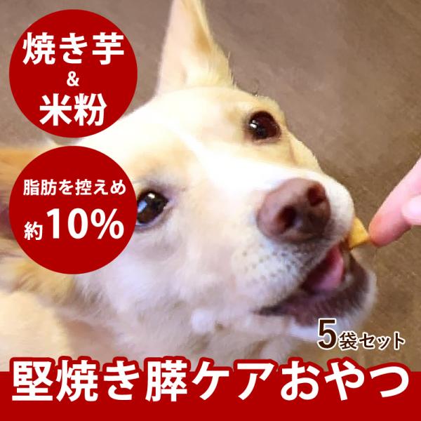 クーポン配布中 犬用無添加おやつ 国産 おいもの膵ケアビスケット ハード60g 5袋