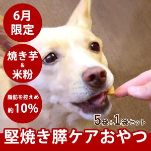 お得 セール 6月限定 犬用無添加おやつ おいもの膵ケアビスケット ハード60g 5袋+1袋セット 愛犬用 国産 硬いおやつ 低リン さつまいも 脂肪控えめ