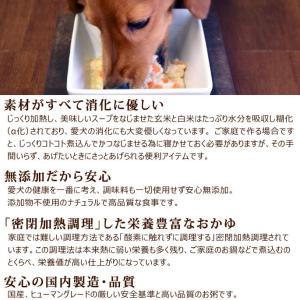 無添加 国産 低脂肪 低カロリー 愛犬の安心レ...の詳細画像5
