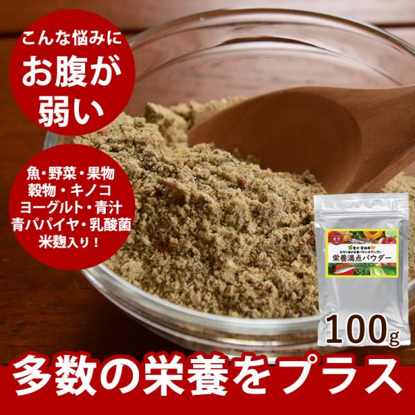 犬用猫用 栄養補助食｜栄養満点パウダー 100g　手作り食の栄養補助に