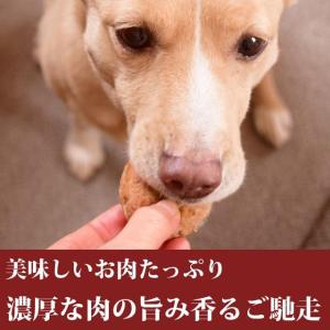 冷凍ハンバーグ 犬用品 の商品一覧 ペット用品 生き物 通販 Yahoo ショッピング
