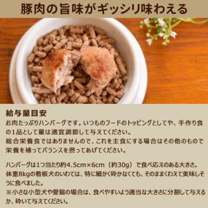 冷凍ハンバーグ 犬用品 の商品一覧 ペット用品 生き物 通販 Yahoo ショッピング