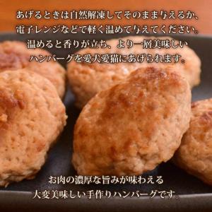 冷凍ハンバーグ 犬用品 の商品一覧 ペット用品 生き物 通販 Yahoo ショッピング