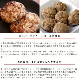 冷凍ハンバーグ 犬用品 の商品一覧 ペット用品 生き物 通販 Yahoo ショッピング