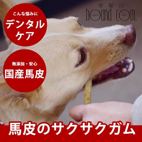 愛犬用ガム 柔らかめ 犬用ガム デンタルおやつ 小型犬 中型犬 ご褒美 馬皮サクサクデンタルガム