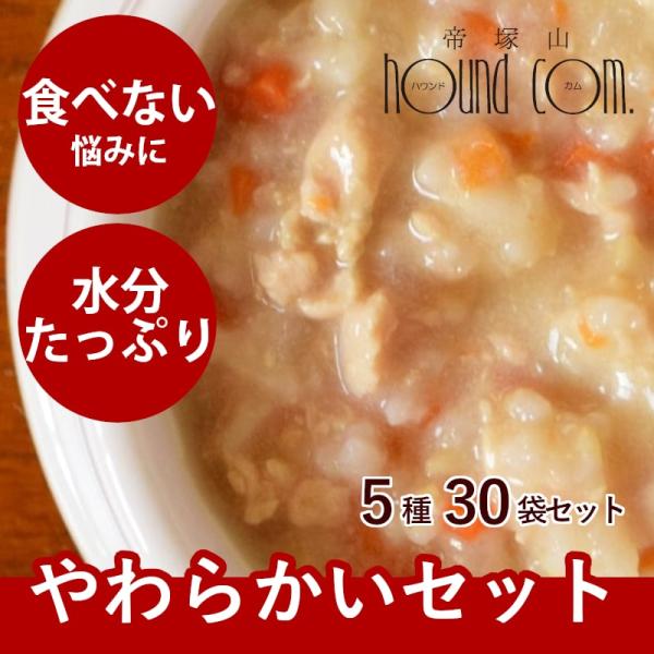 クーポン配布中 愛犬用 やわらかい安心レトルトセット 30袋（6袋×5種） まとめ買い 犬用 パウチ...