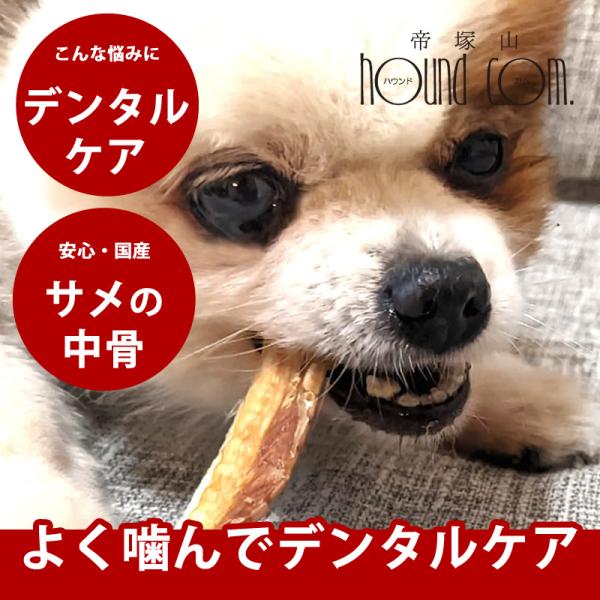 犬 おやつ 無添加 サメの中骨ガム・肉付40g  デンタルケア 鮫