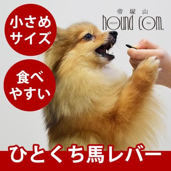 愛犬用おやつ ひとくち馬レバー 50g 無添加おやつ