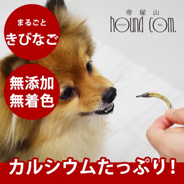 クーポン配布中 犬猫用おやつ｜まるごときびなご 25g 安心・無添加おやつ