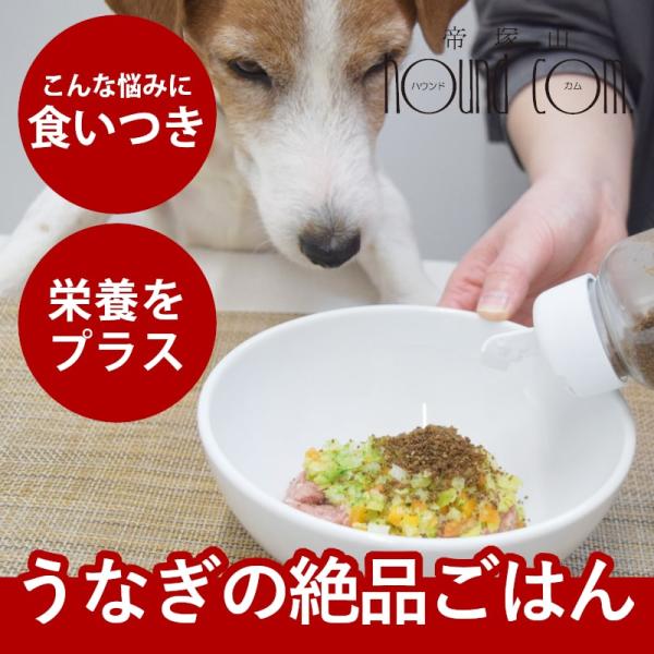 犬猫用　元気モリモリうなぎふりかけ 60g