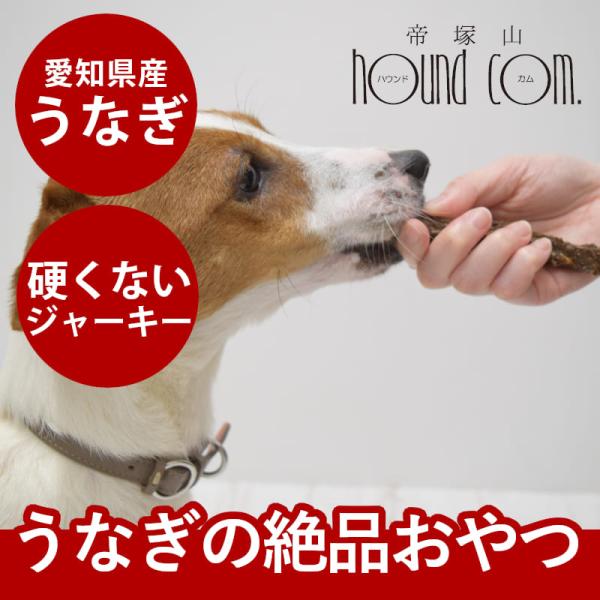 犬猫用おやつ｜元気モリモリうなぎスティック 60g