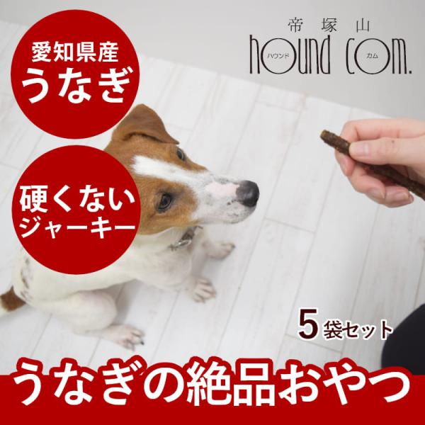 犬猫用おやつ｜元気モリモリうなぎスティック 60g×5袋セット