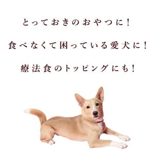 愛犬用 腎臓と膵臓に優しいおやつセットA冷凍便の詳細画像1