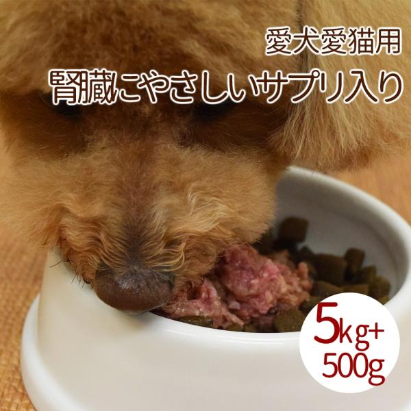 犬用 猫用 生肉｜腎ケアプラスネック骨ごとミンチ 5kg  鶏肉 生食 手作り食