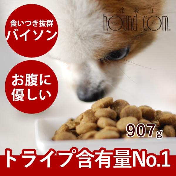 ドッグフード 犬 ドライフード 総合栄養食 乳酸菌 消化 穀物フリー 高齢犬 シニア 穀物不使用 ト...