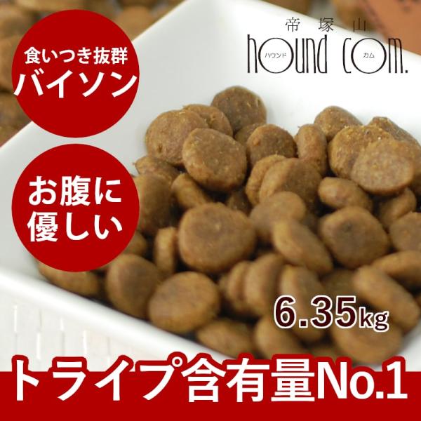 ドッグフード 犬 ドライフード 総合栄養食 乳酸菌 消化 穀物フリー 高齢犬 シニア 穀物不使用 ト...