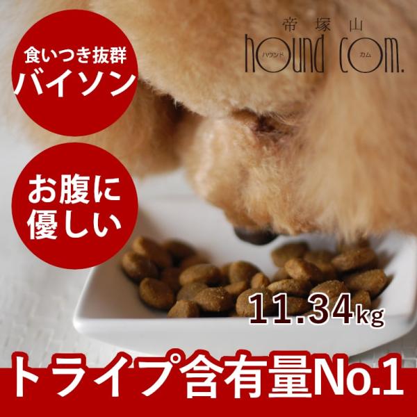 ドッグフード 犬 ドライフード 総合栄養食 乳酸菌 消化 穀物フリー 高齢犬 シニア 穀物不使用 ト...