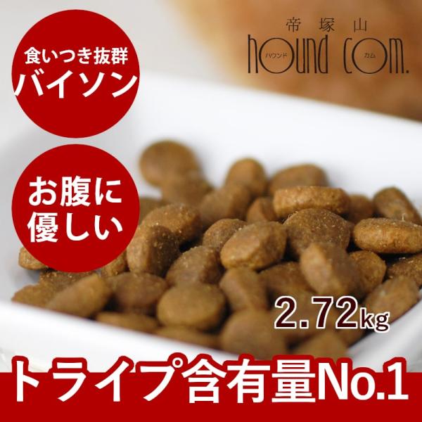 ドッグフード 犬 ドライフード 総合栄養食 乳酸菌 消化 穀物フリー 高齢犬 シニア 穀物不使用 ト...