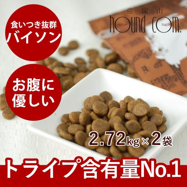 ドッグフード 犬 ドライフード 総合栄養食 乳酸菌 消化 穀物フリー 高齢犬 シニア 穀物不使用 ト...