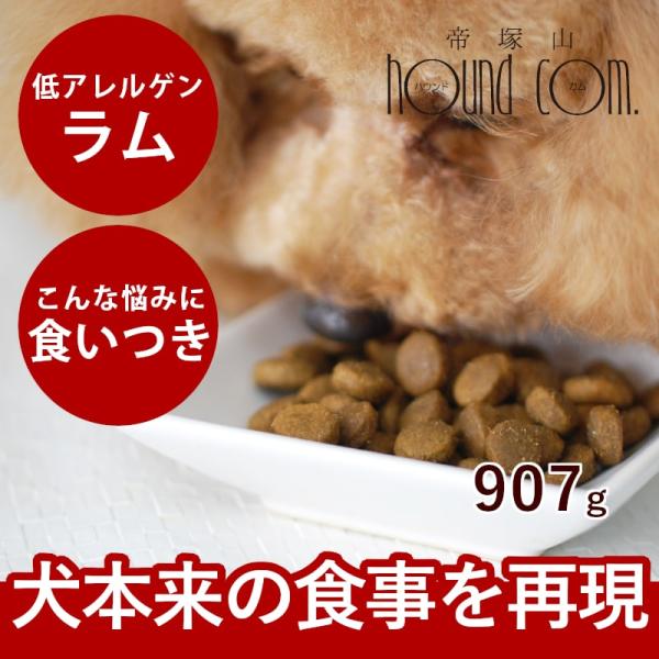 ドッグフード 犬 ドライフード 総合栄養食 乳酸菌 消化 穀物フリー 高齢犬 シニア 穀物不使用 ト...
