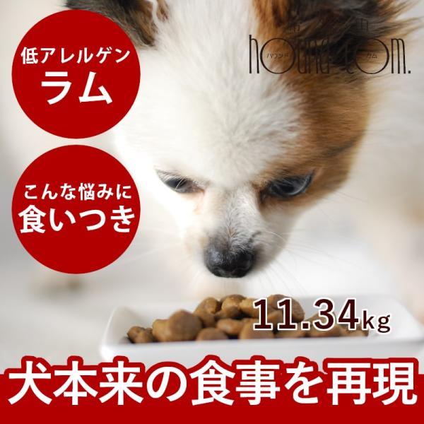 ドッグフード 犬 ドライフード 総合栄養食 高齢犬 シニア 穀物不使用 ドッグフード トライプドライ...