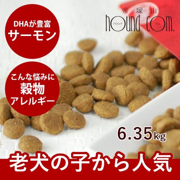 ドッグフード 犬 ドライフード 総合栄養食 消化 高齢犬 シニア 穀物不使用 トライプドライ ワイル...