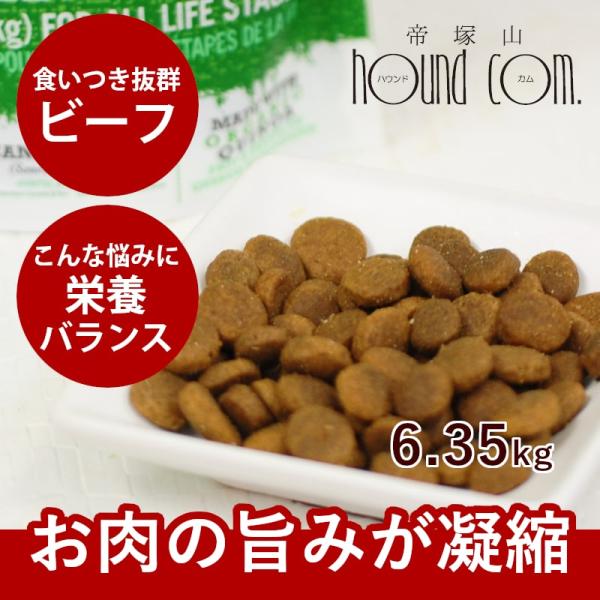 ドッグフード 犬 ドライフード 総合栄養食 乳酸菌 消化 穀物フリー 高齢犬 シニア 穀物不使用 ト...