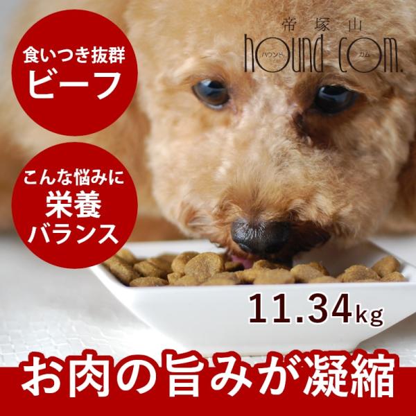 ドッグフード 犬 ドライフード 総合栄養食 乳酸菌 消化 穀物フリー 高齢犬 シニア 穀物不使用 ト...