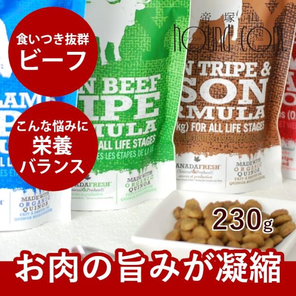 ドッグフード 犬 ドライフード 総合栄養食 乳酸菌 消化 穀物フリー 高齢犬 シニア 穀物不使用 お...
