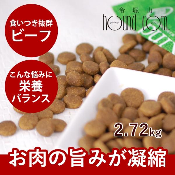 ドッグフード 犬 ドライフード 総合栄養食 乳酸菌 消化 穀物フリー 高齢犬 シニア 穀物不使用 穀...