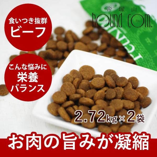 ドッグフード 犬 ドライフード 総合栄養食 乳酸菌 消化 穀物フリー 高齢犬 シニア 穀物不使用 ト...
