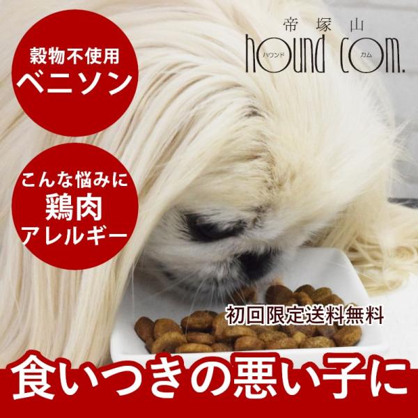 ドッグフード 犬 ドライフード 総合栄養食 乳酸菌 消化 チキン不使用 高齢犬 シニア 穀物不使用 ...
