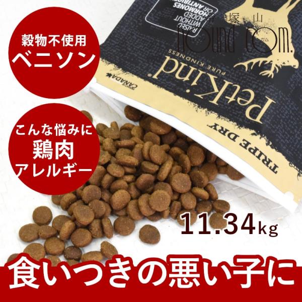 ドッグフード 犬 ドライフード 総合栄養食 乳酸菌 消化 チキン不使用 高齢犬 シニア 穀物不使用 ...