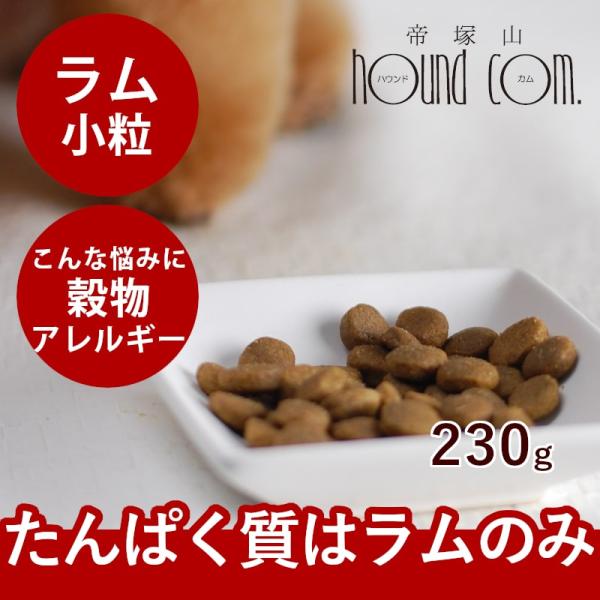 ドッグフード 犬 ドライフード 総合栄養食 単一動物性タンパク 高齢犬 シニア 穀物不使用 お試しサ...