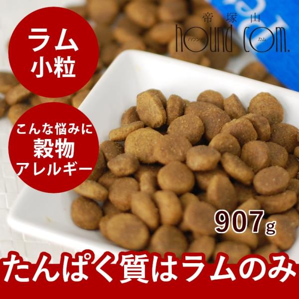 ドッグフード 犬 ドライフード 総合栄養食 単一動物性タンパク 高齢犬 シニア 穀物不使用 SAPラ...