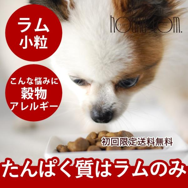 ドッグフード 犬 ドライフード 総合栄養食 単一動物性タンパク 高齢犬 シニア トライプドライ SA...