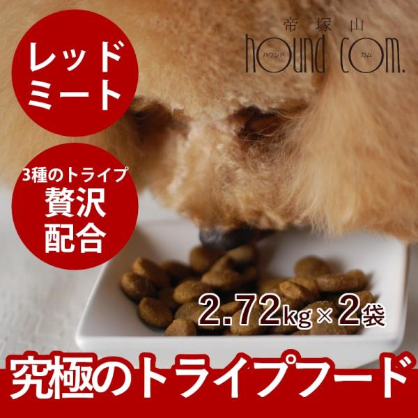 ドッグフード 犬 ドライフード 総合栄養食 乳酸菌 消化 穀物フリー 高齢犬 シニア 穀物不使用 ト...