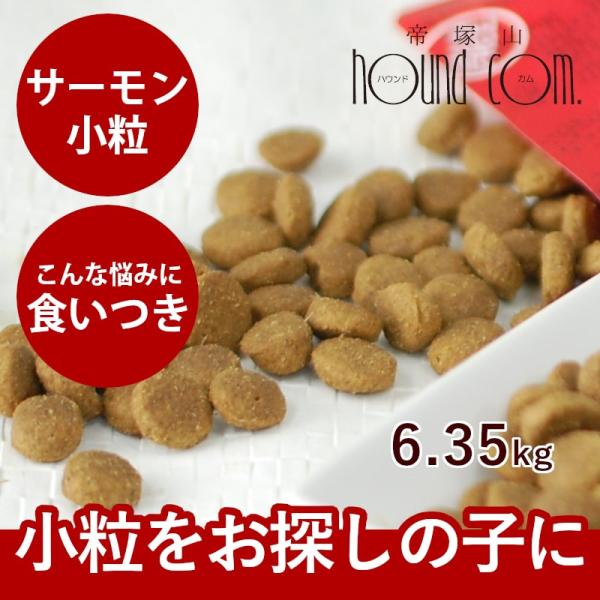 ドッグフード 犬 ドライフード 総合栄養食 乳酸菌 消化 穀物フリー 高齢犬 シニア 穀物不使用 ト...